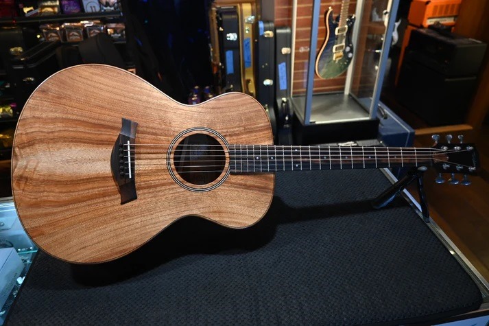 Taylor Guitars: Built for Performance and Playability